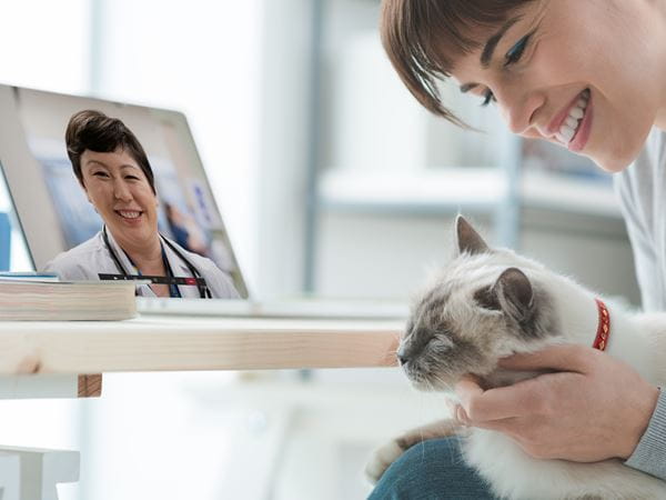 VCA Telehealth